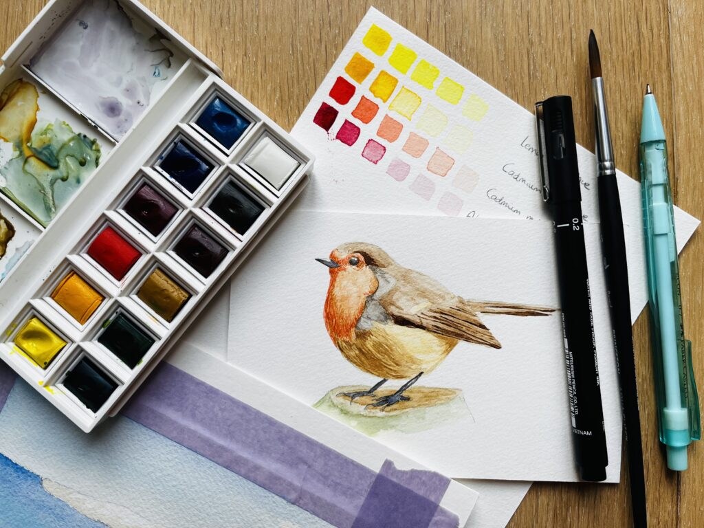 Painting of a robin in watercolor.