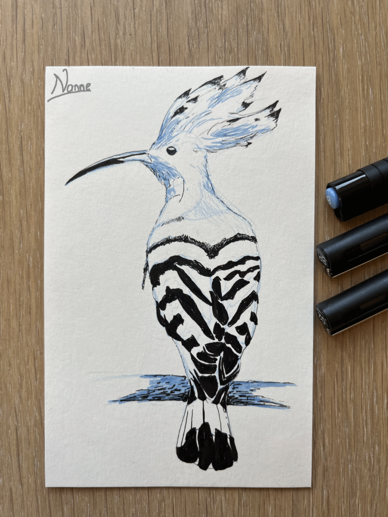 Sketch of a bird made with ink pens