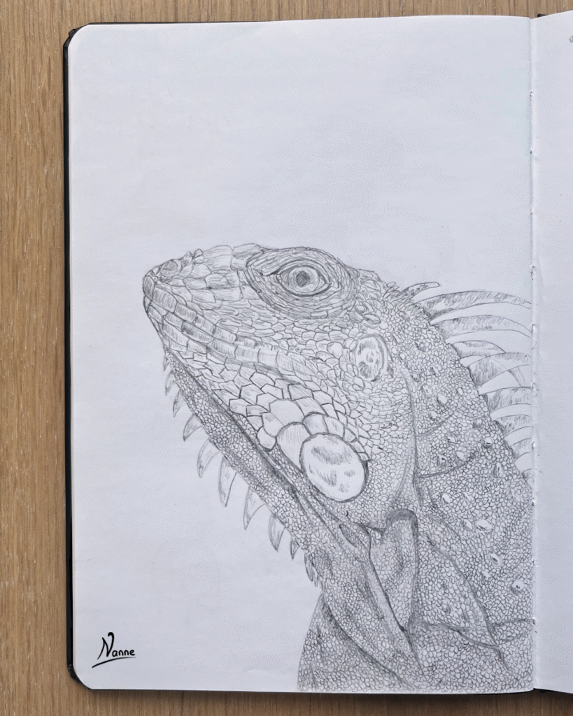 Iguana in pencil